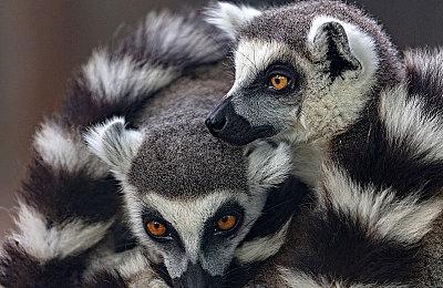 《星球大战：法外狂徒》无缝穿越将比《漫威蜘蛛侠2》更出色